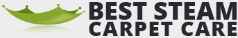beststeamcarpetcleaningaz