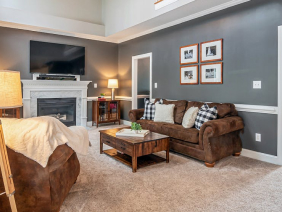 carpet cleaning - services